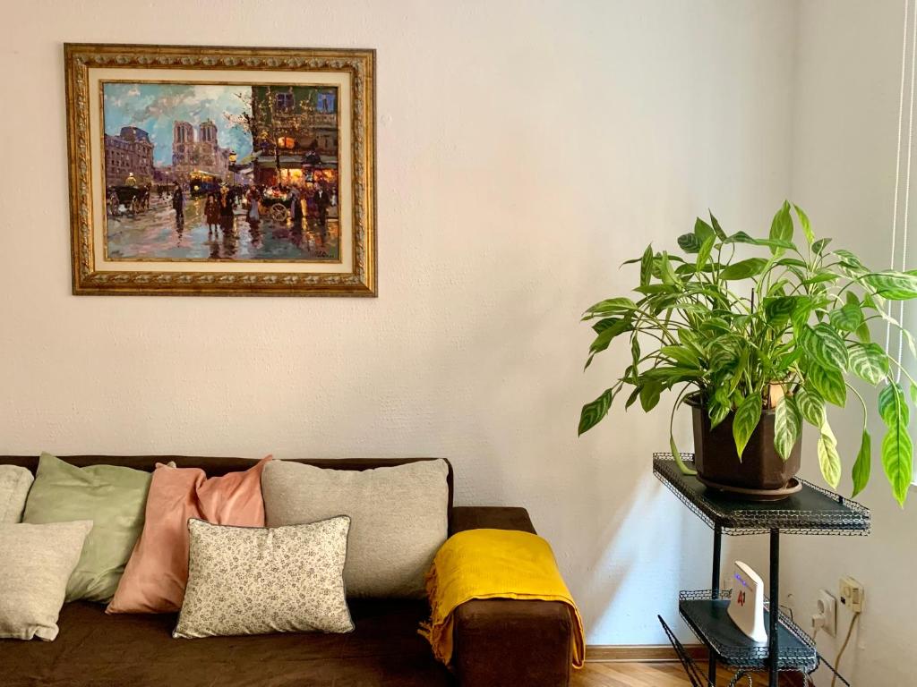 Star apartment 2 — photo 1