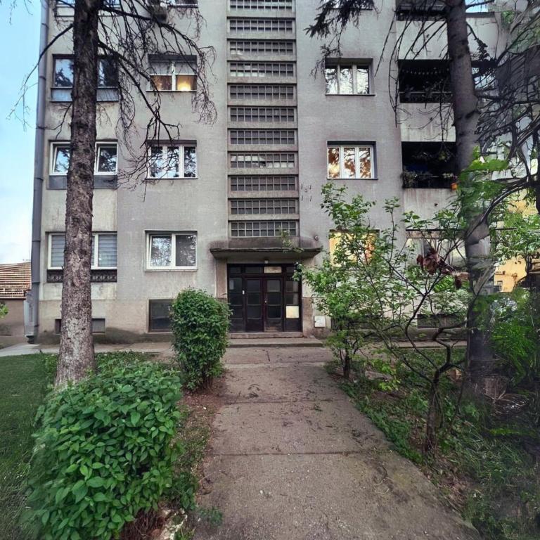 Sunny Apartment photo 2