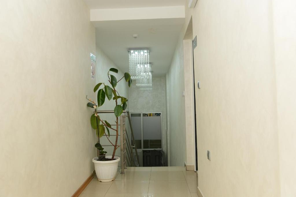 Hotel Sunce photo 3
