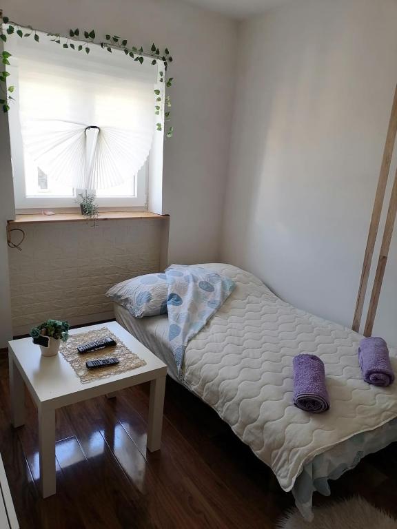Small low cost studio Dorcol photo 2