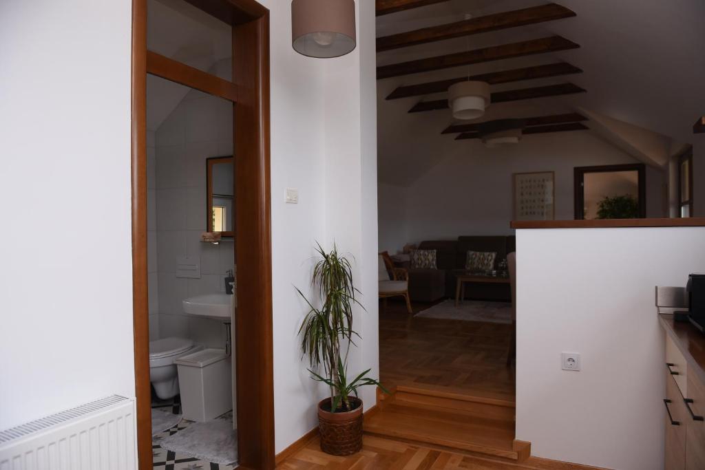 Seosko turističko domaćinstvo Kajsija photo 3