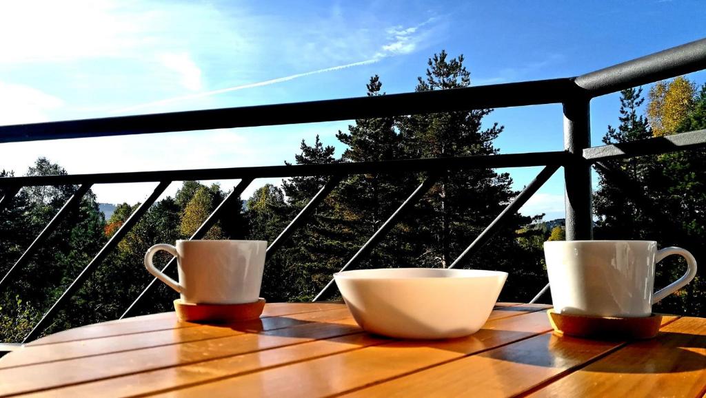 Studio apartman ENJOY Divčibare photo 3