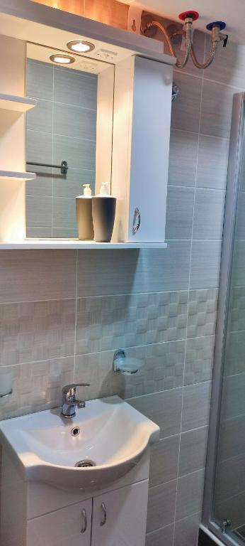 Apartman Anastasija Divcibare photo 3
