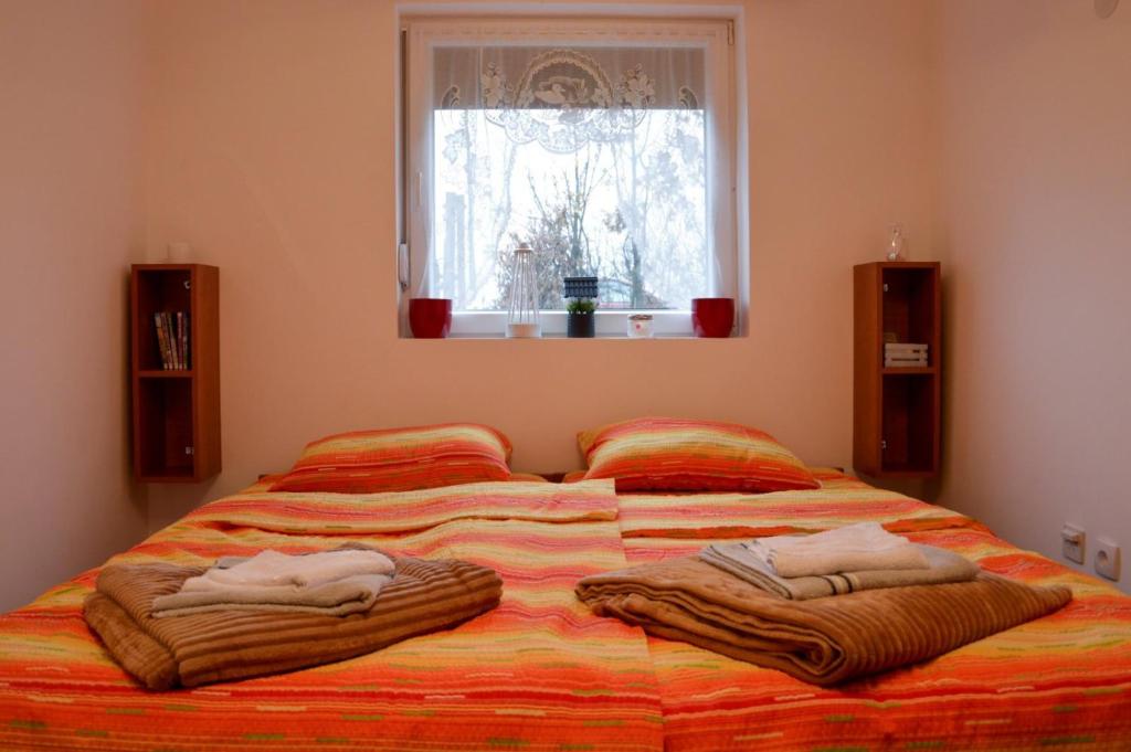Takovska Noc photo 2