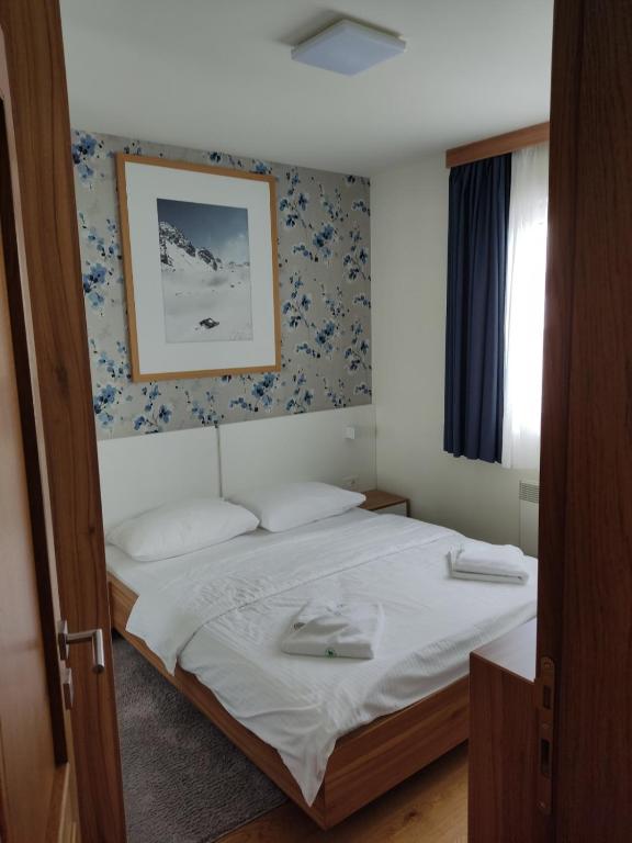 Vila Borova Apartman Rajin photo 2