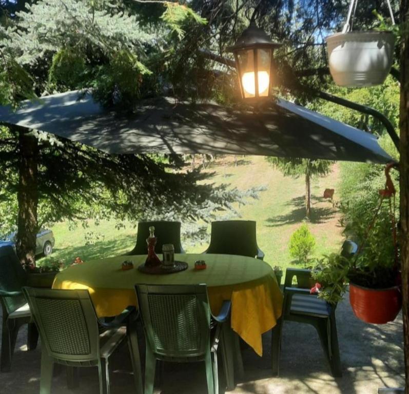 Šumska kuća Atina - Devojački Bunar — photo 1