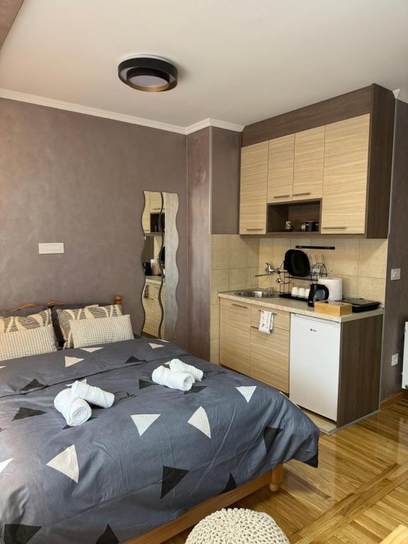Studio apartman S photo 2