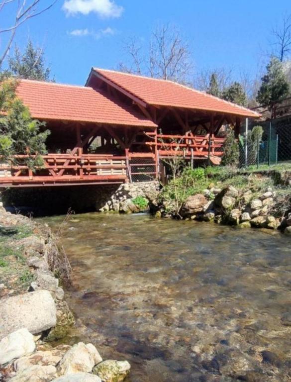 ŽUBOR VRELA — photo 1