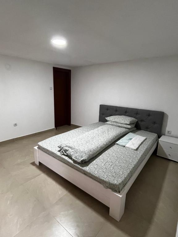 ŽUBOR VRELA photo 2