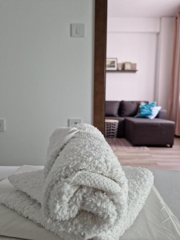 apartman TARA aqua park photo 3