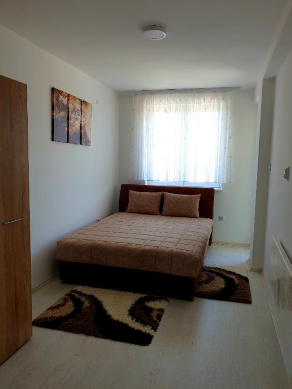 Sokolux photo 2