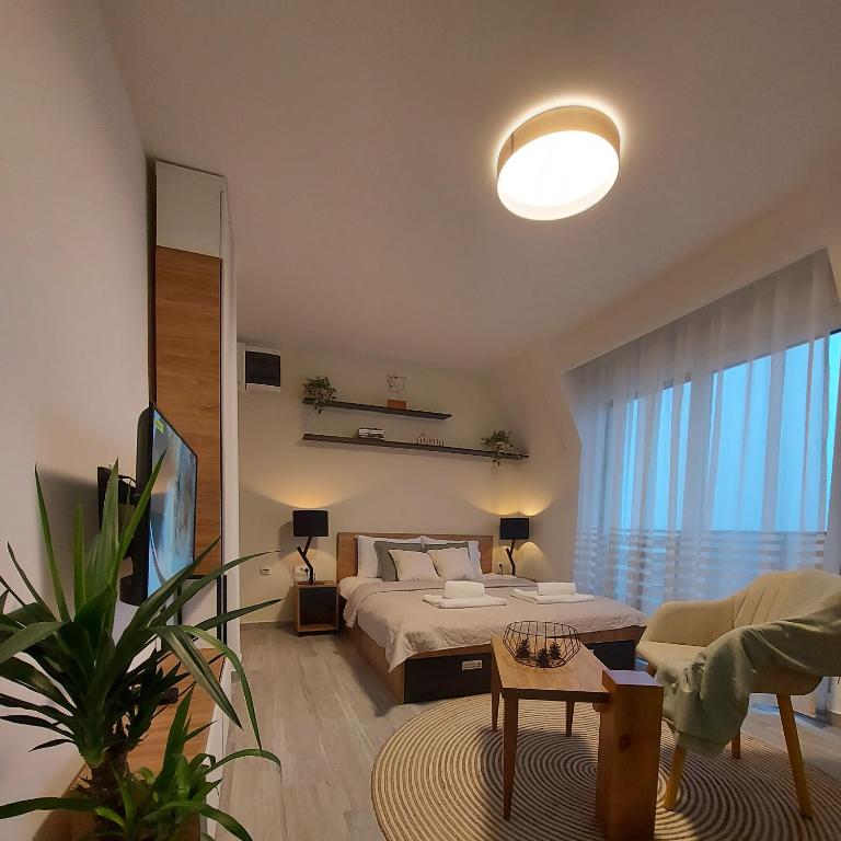 Sunny Woods Apartment photo 2