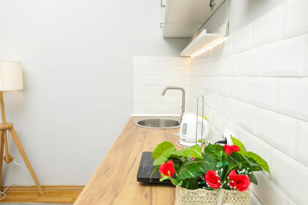 Studio 91 with Great WI-FI and free parking photo 3