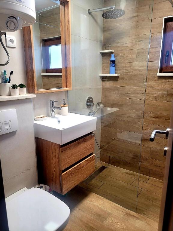 Zlatna Jabuka apartman photo 3