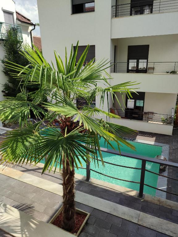 Apartmani Sunny Side Vrnjačke terme-aquapark-besplatan parking — photo 1