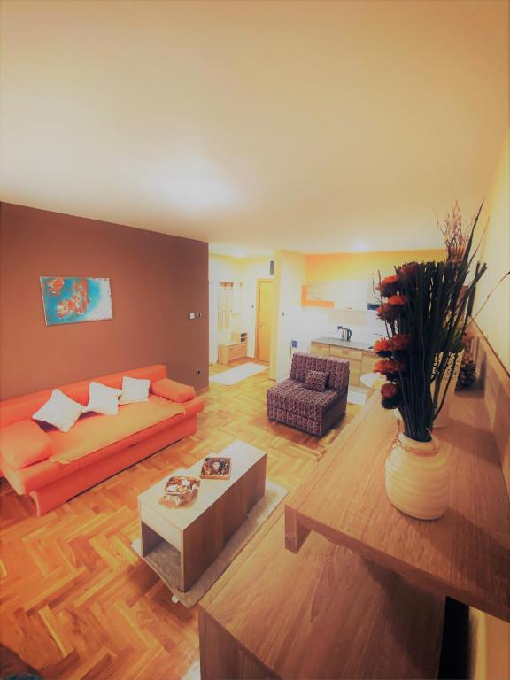 Apartment Vas Raj photo 2