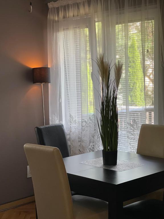 Silver Snowflake - Apartman sa dvoristem — photo 1