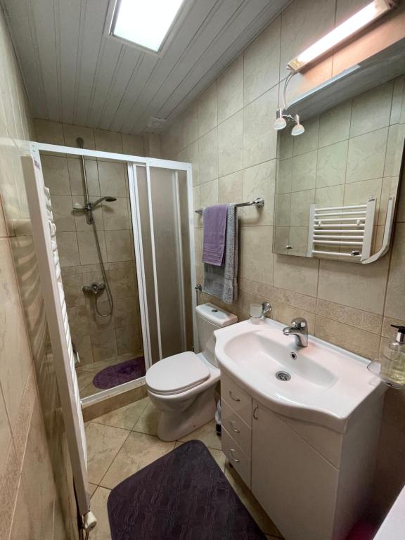 Silver Snowflake - Apartman sa dvoristem photo 3