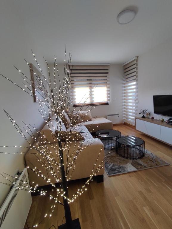 TriA 1 — photo 1
