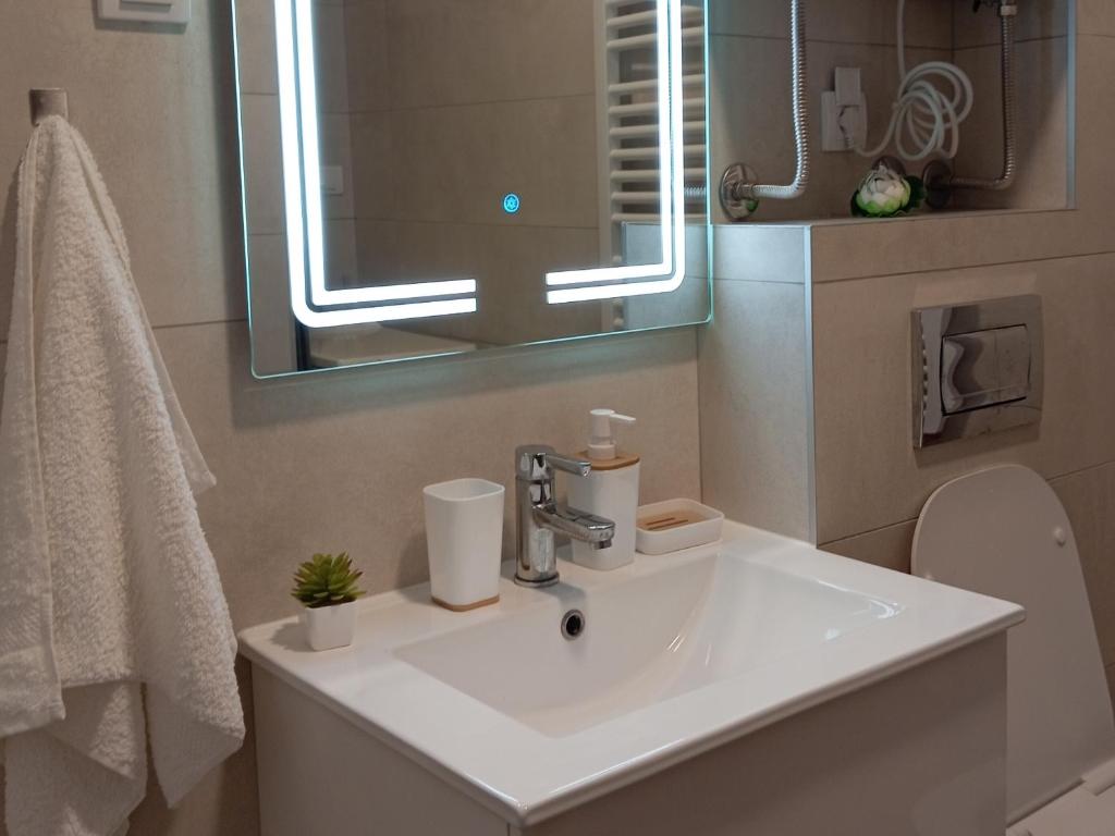 Tera apartment Zemun photo 3