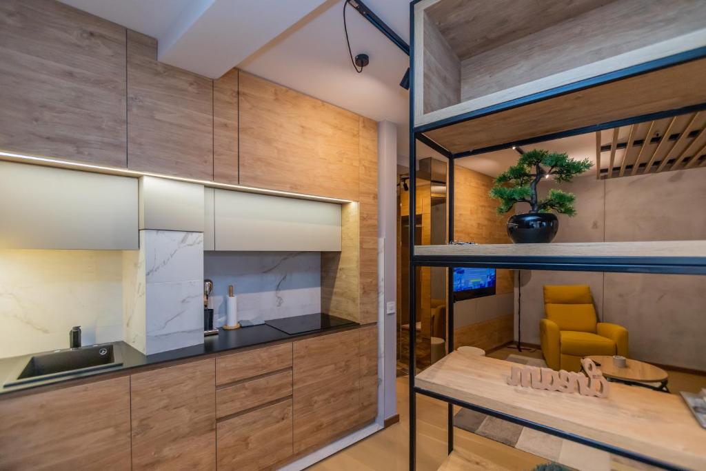 Zlatibor Luxury Apartment Number 5 photo 3