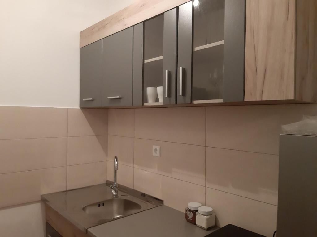 S&B Apartman Vrnjačka Banja — photo 1