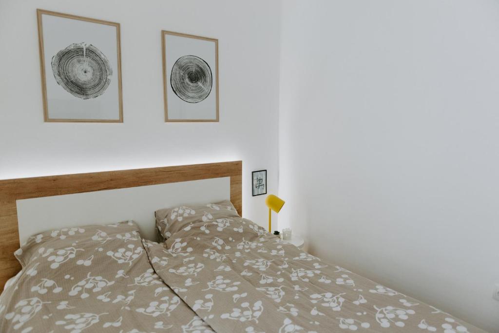 Apartman SREBRNA PAHULJA photo 2