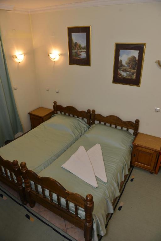Sneža photo 2