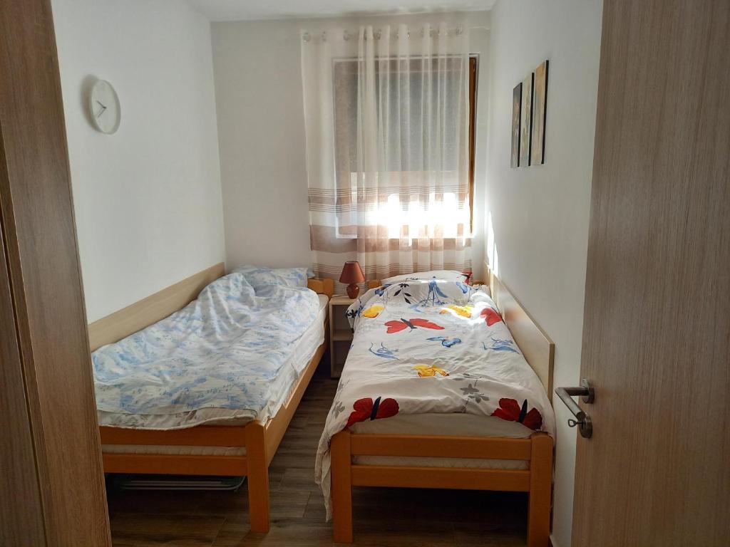 Savić Tara photo 2