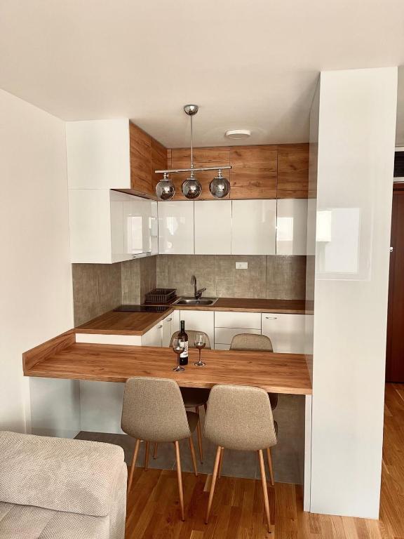 Tina Apartman Sokobanja photo 2