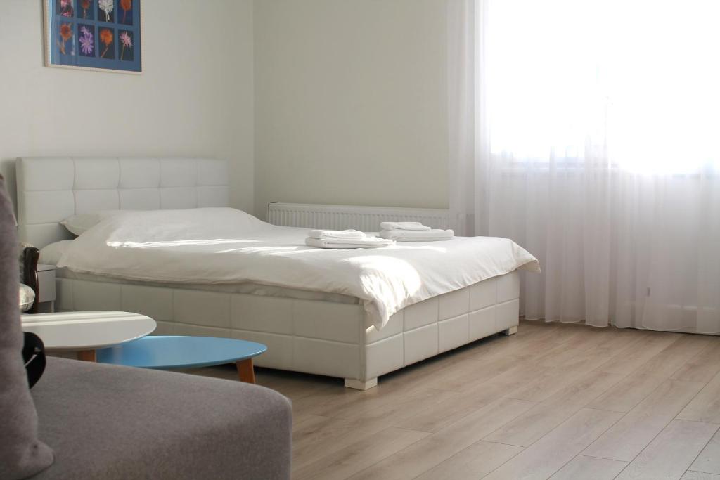 Rooftop Apartment Belgrade photo 2