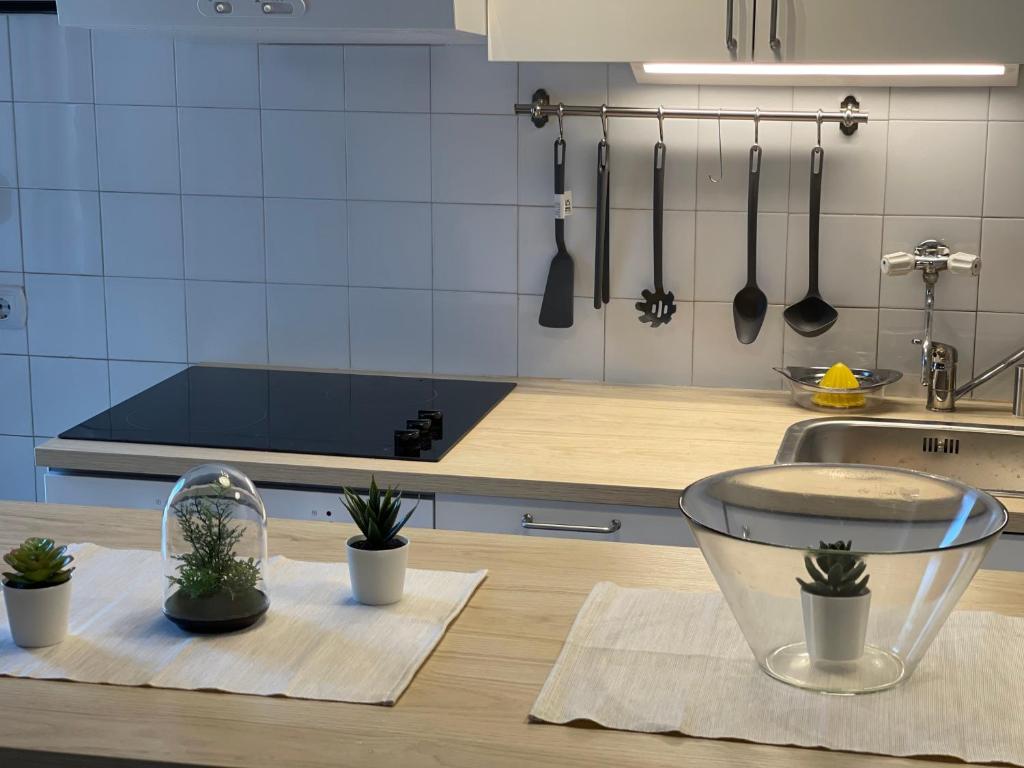 Sokobanja Apartman Aleksa photo 3