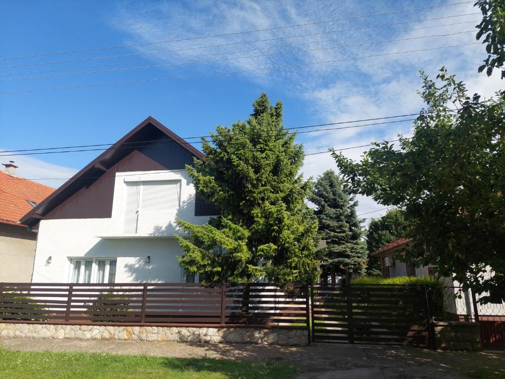 Zorica House Vrbas — photo 1