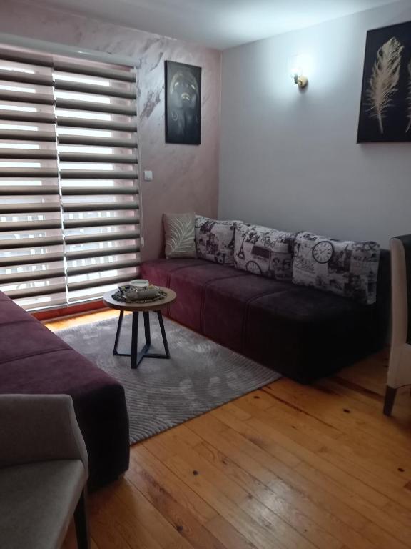 Simic Apartmani Tara photo 2