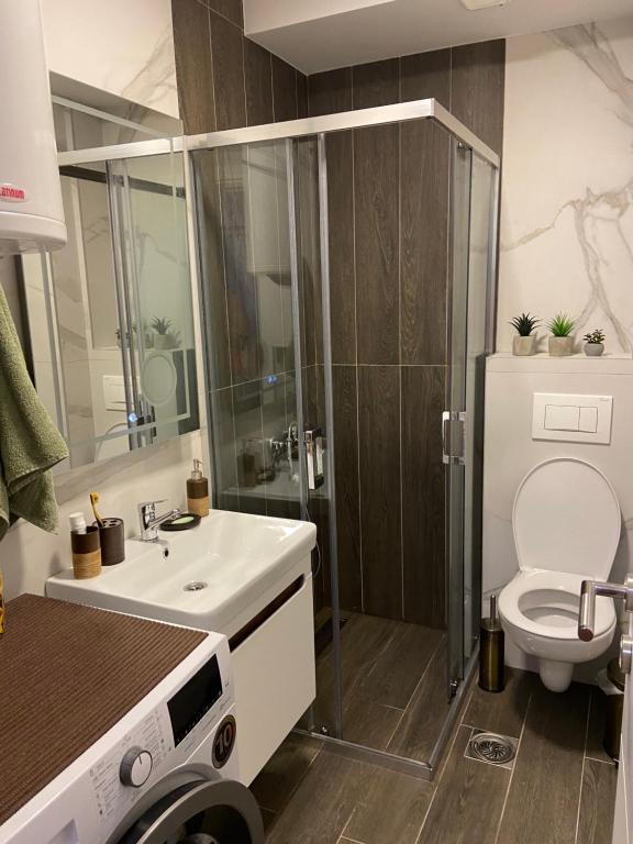 Soul Apartment Vrnjačka Banja photo 3