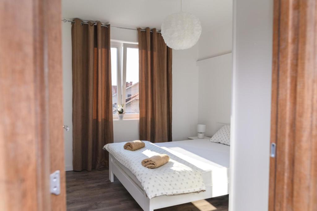 Apartmani ZAT photo 2