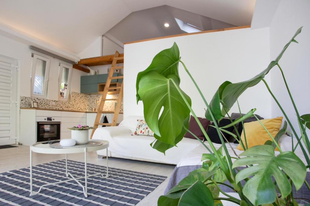 River house Grana photo 3