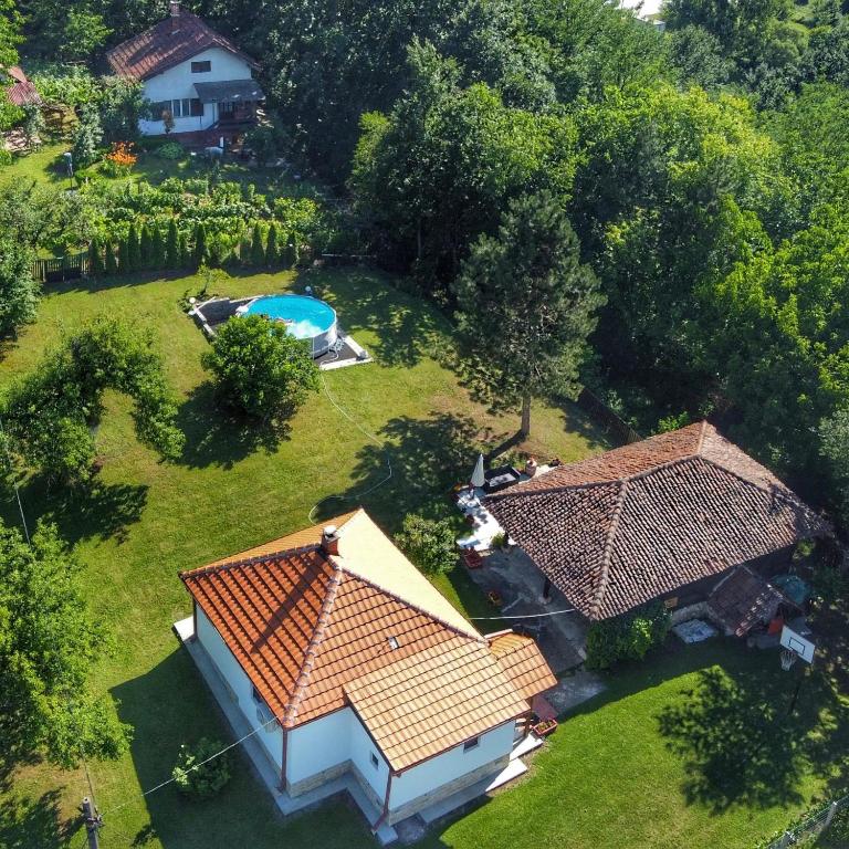 Topola vikendica — photo 1
