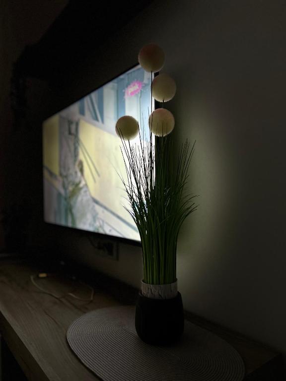 Serenity Apartment photo 2