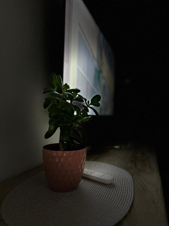 Serenity Apartment photo 3