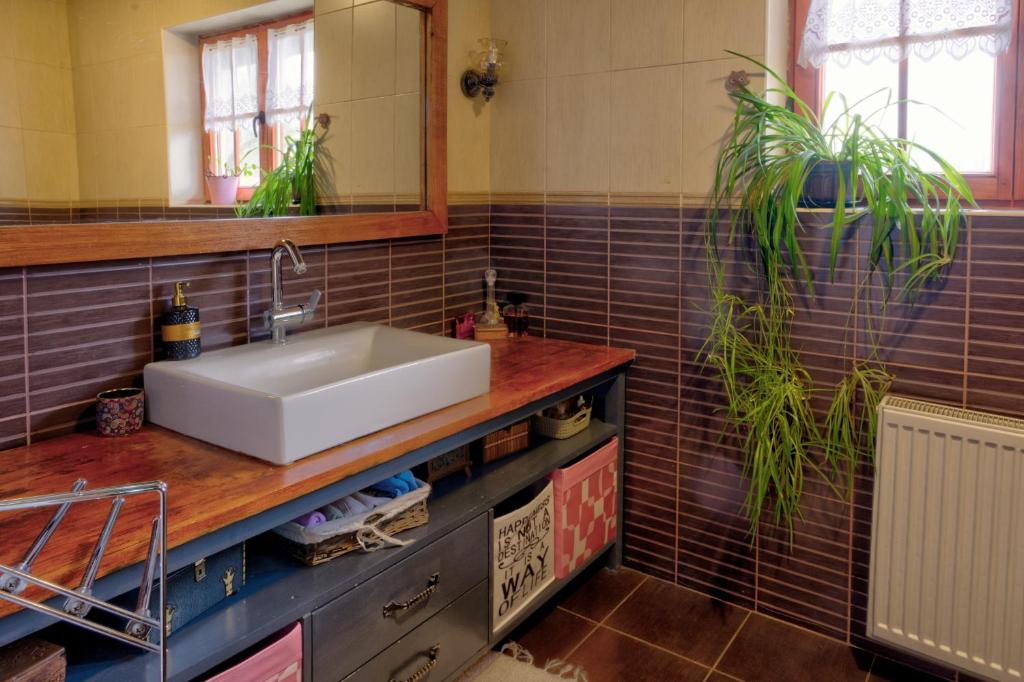 Etno kompleks Orahovac - Vila Paun photo 3