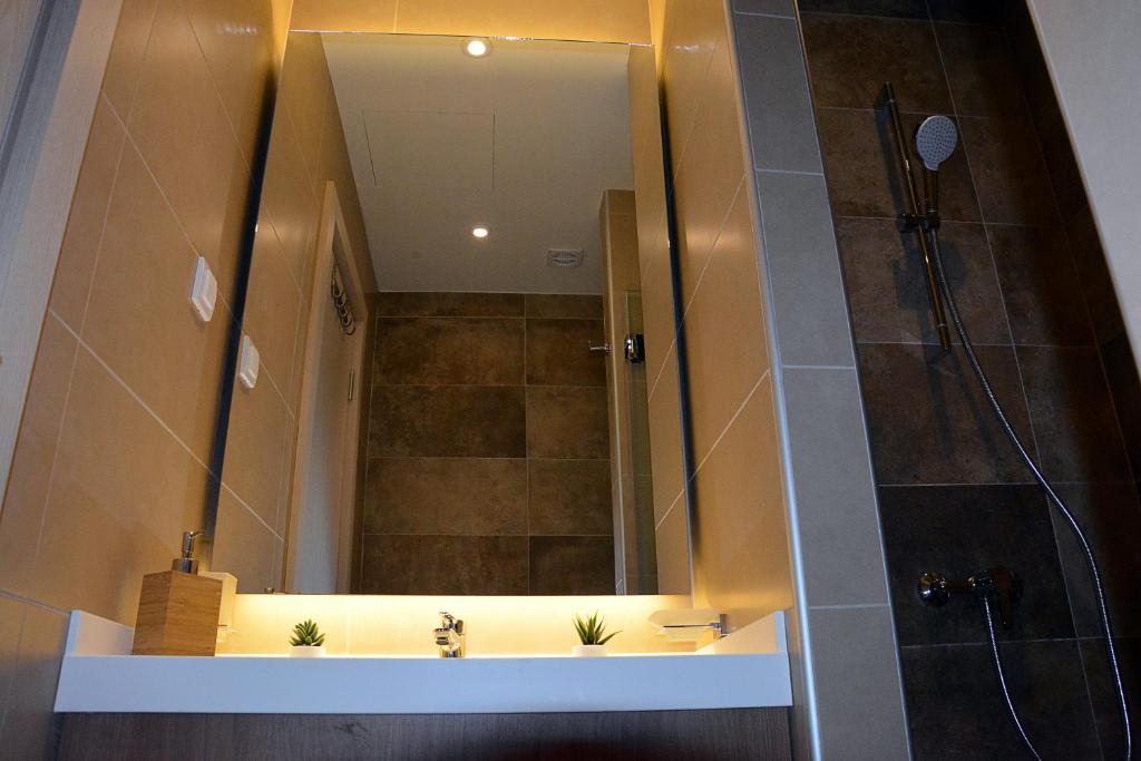 Apartman SREBRNA PAHULjA-Konaci photo 3
