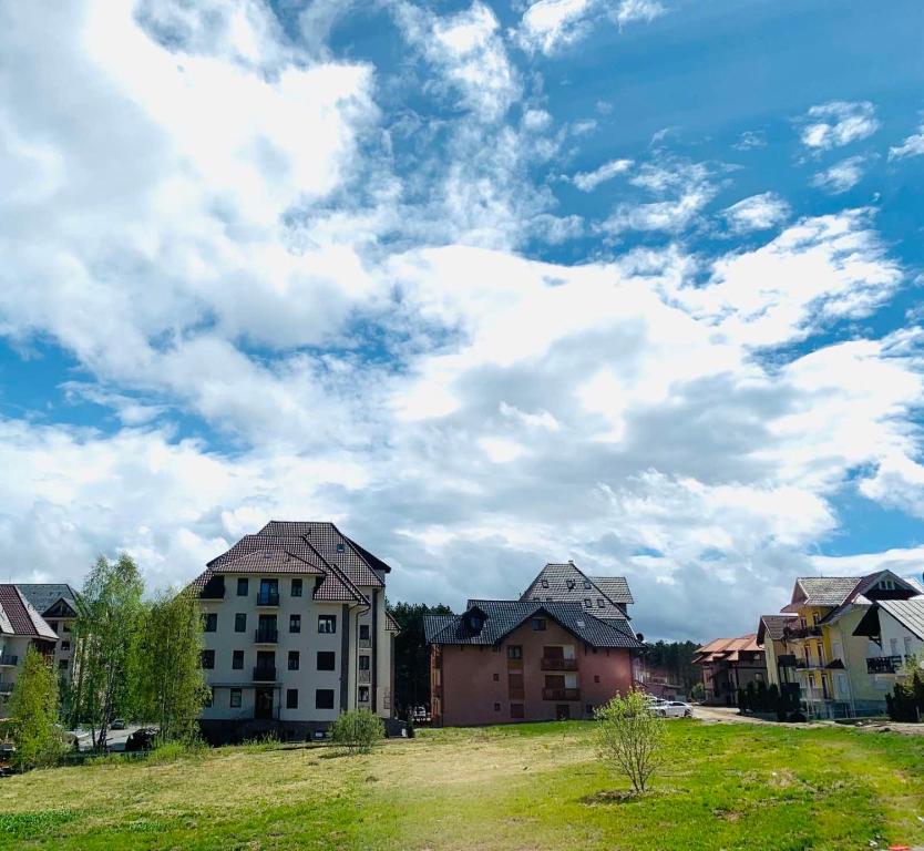 Šestica photo 2
