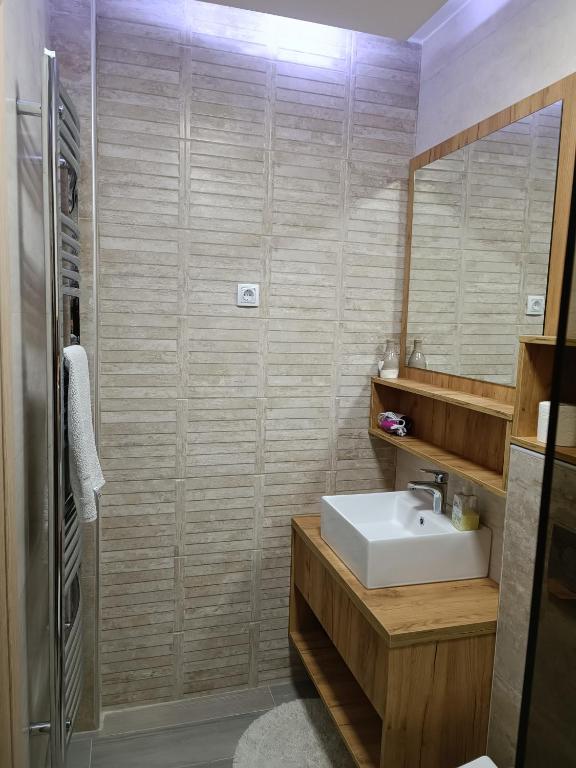 Serbian home - Gandijeva 184 photo 3