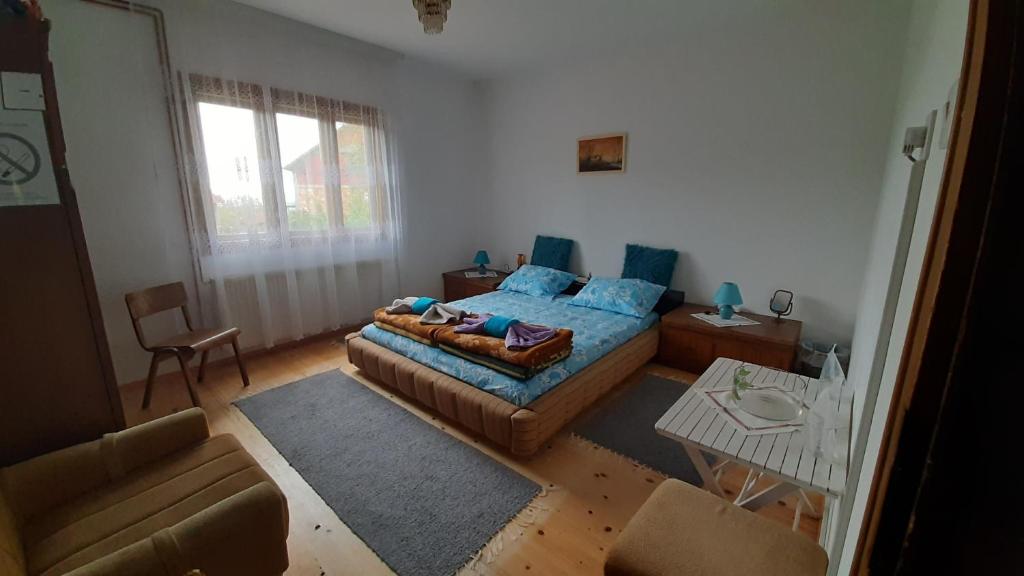 Stefanovića kuća photo 2