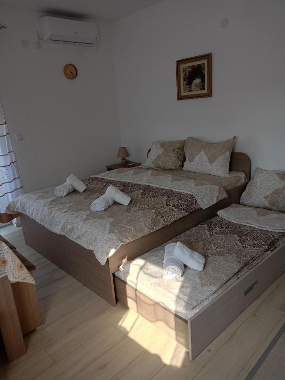 Studio Dimitrije 14 — photo 1
