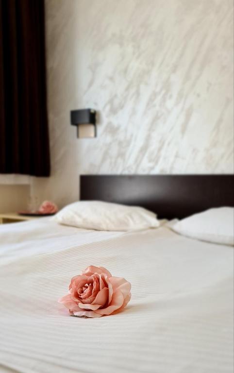 Hotel Royal Drina photo 2