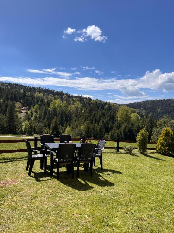 Tarska Vila - Vera photo 3
