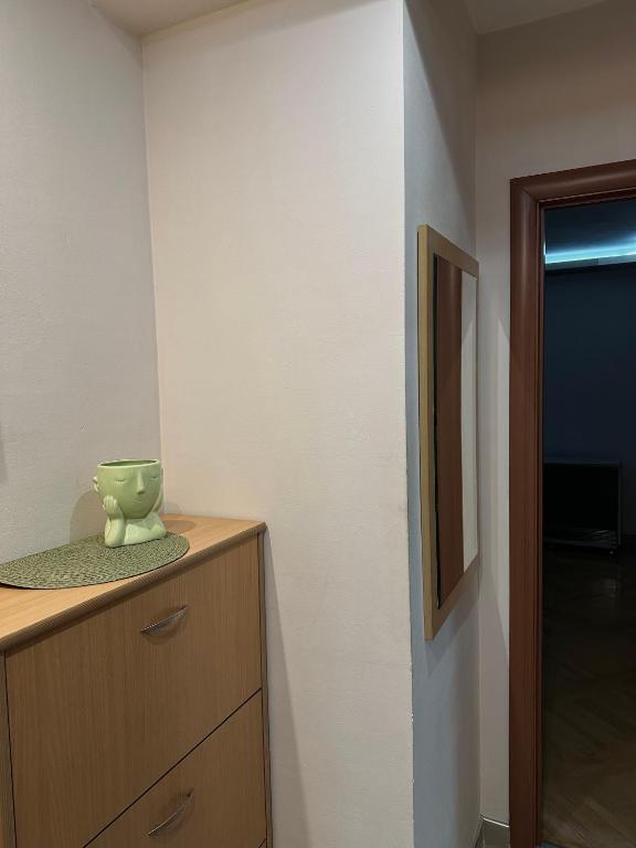 Apartman u centru Niša photo 3