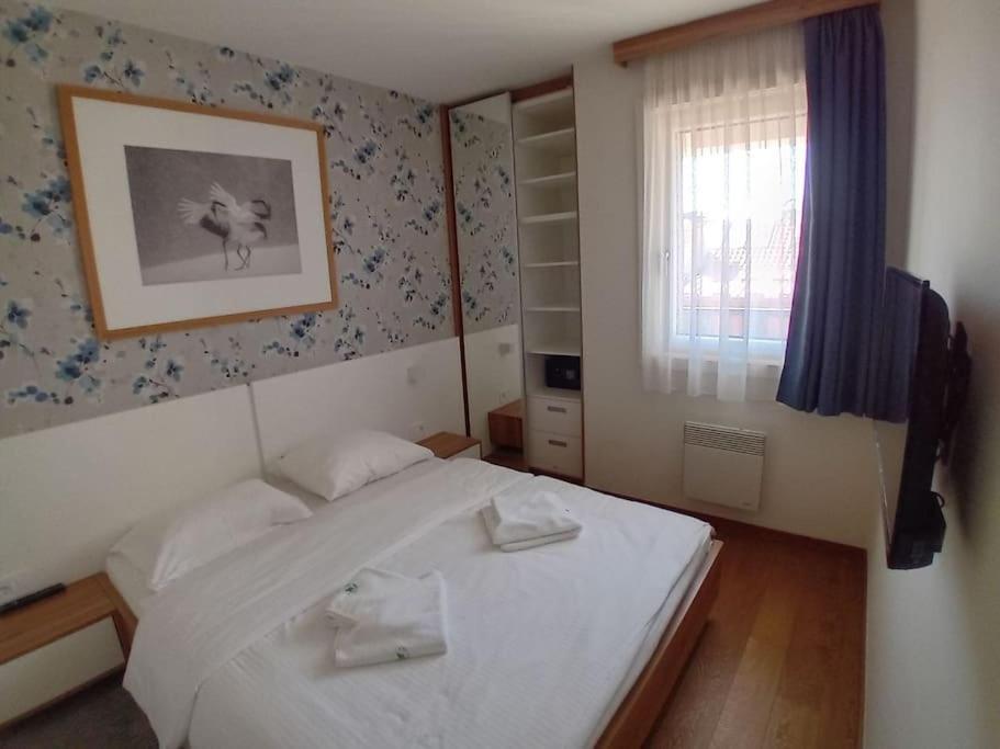 Zvončica Zlatibor photo 2